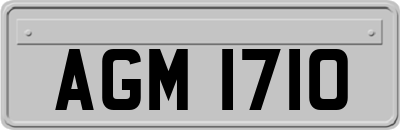 AGM1710