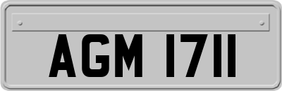 AGM1711