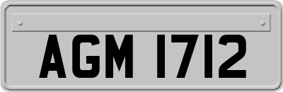 AGM1712