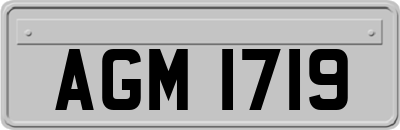 AGM1719