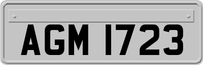 AGM1723