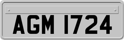 AGM1724