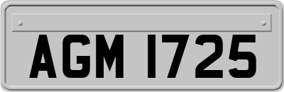 AGM1725