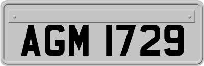 AGM1729