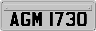 AGM1730