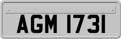 AGM1731