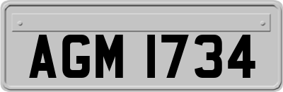 AGM1734