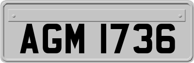 AGM1736