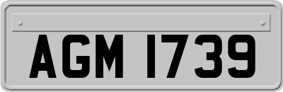 AGM1739