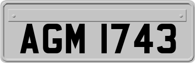 AGM1743