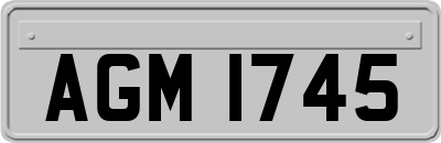 AGM1745