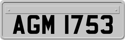 AGM1753