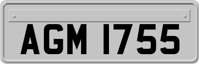 AGM1755