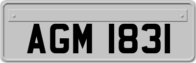 AGM1831