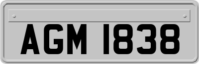 AGM1838