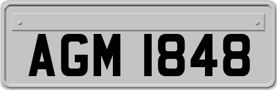 AGM1848