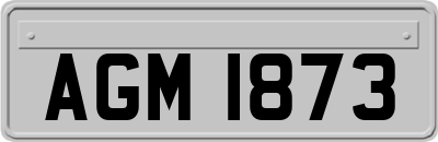 AGM1873