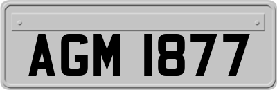 AGM1877
