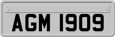 AGM1909