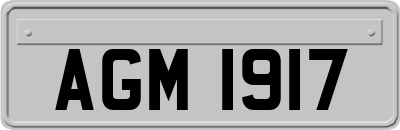 AGM1917