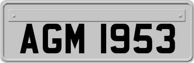 AGM1953