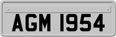 AGM1954