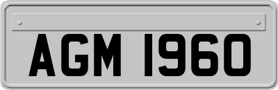 AGM1960