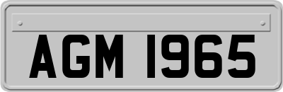 AGM1965