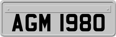 AGM1980