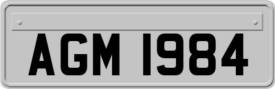 AGM1984