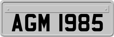 AGM1985