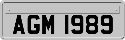 AGM1989