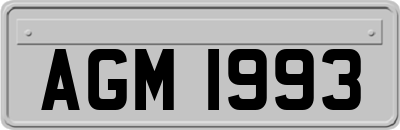 AGM1993