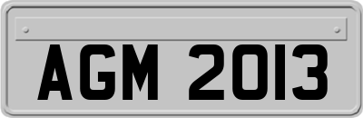 AGM2013