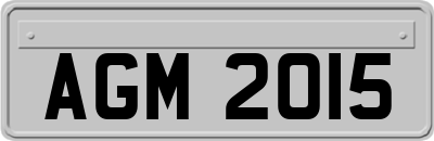 AGM2015