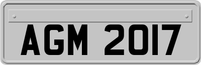 AGM2017