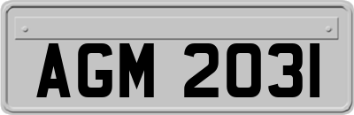AGM2031