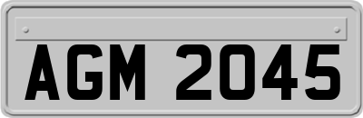 AGM2045