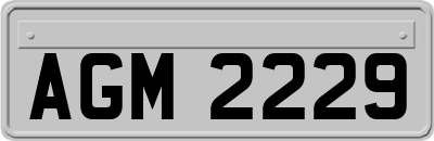 AGM2229