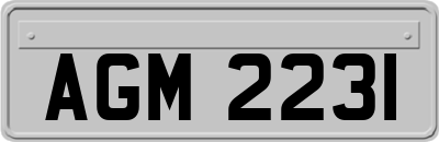AGM2231