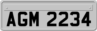 AGM2234