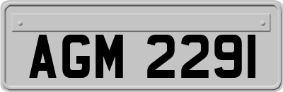 AGM2291