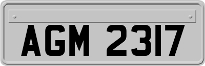 AGM2317