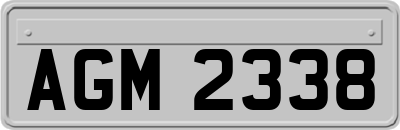 AGM2338