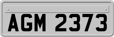 AGM2373