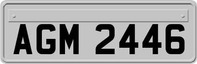 AGM2446