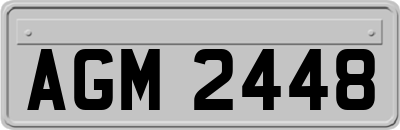 AGM2448