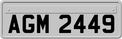 AGM2449