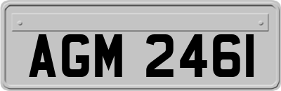AGM2461
