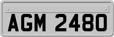 AGM2480